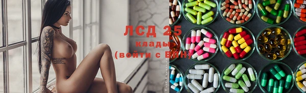 прущие грибы Алексеевка