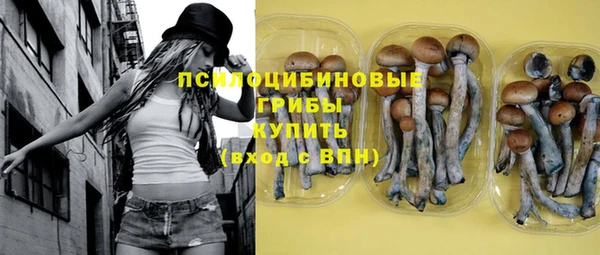 прущие грибы Алексеевка