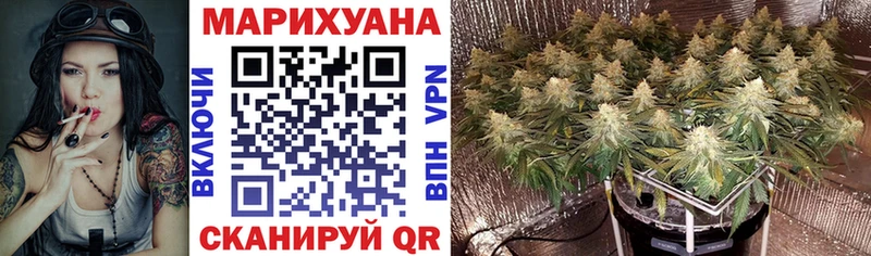 Конопля индика  Алейск 
